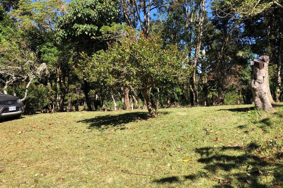 Photo of Outdoor in San Isidro