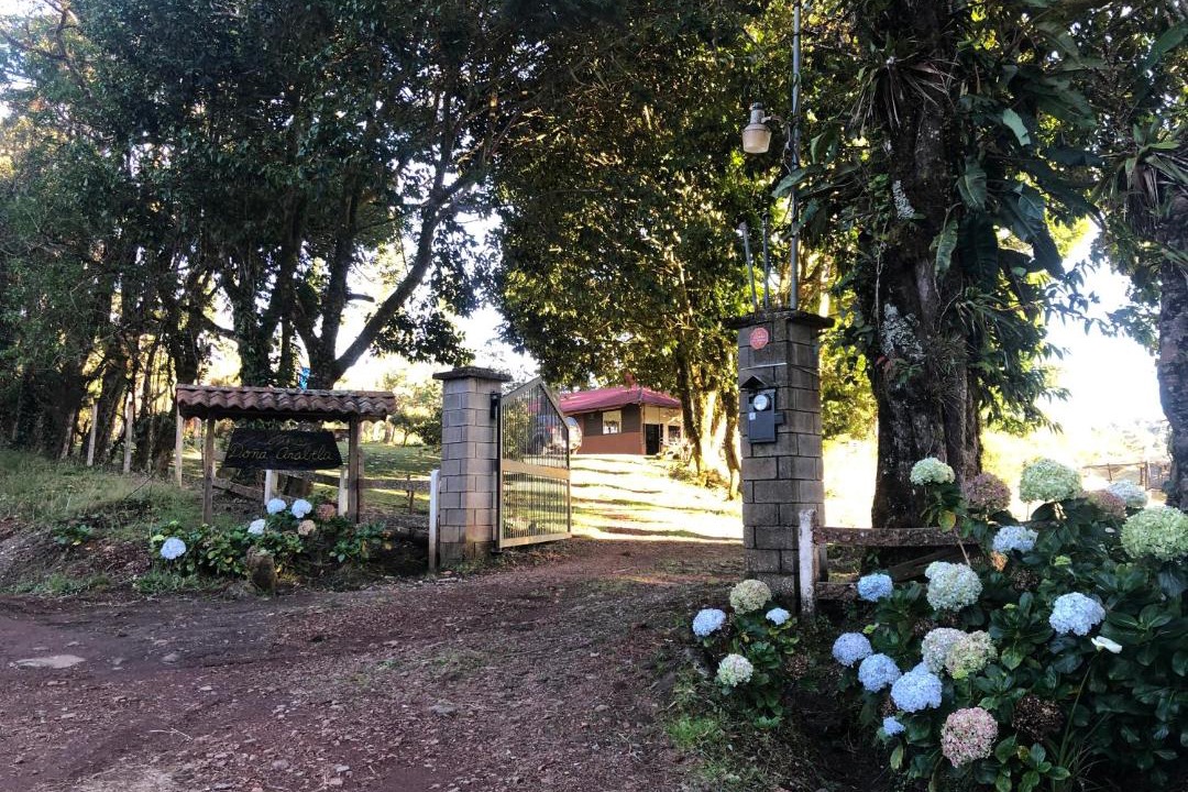 Photo of Buildings in San Isidro