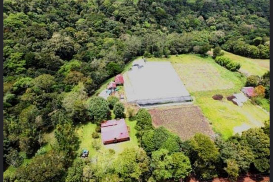 Photo of Outdoor in San Isidro