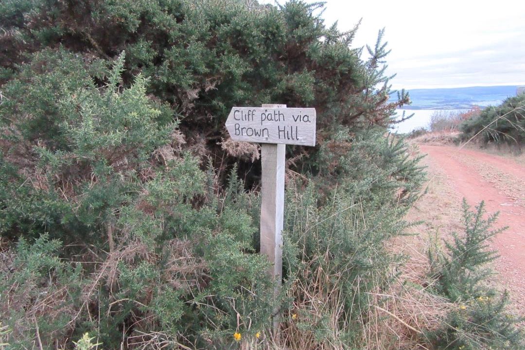 Photo of Outdoor in Fortrose