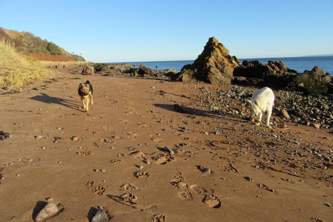 Photo of Outdoor in Fortrose