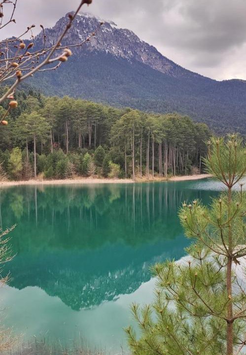 Photo of Outdoor in Feneos