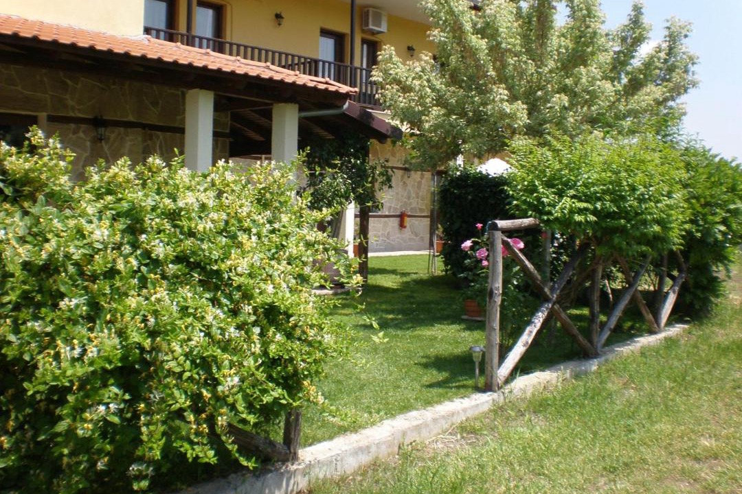Photo of Others in Vergina