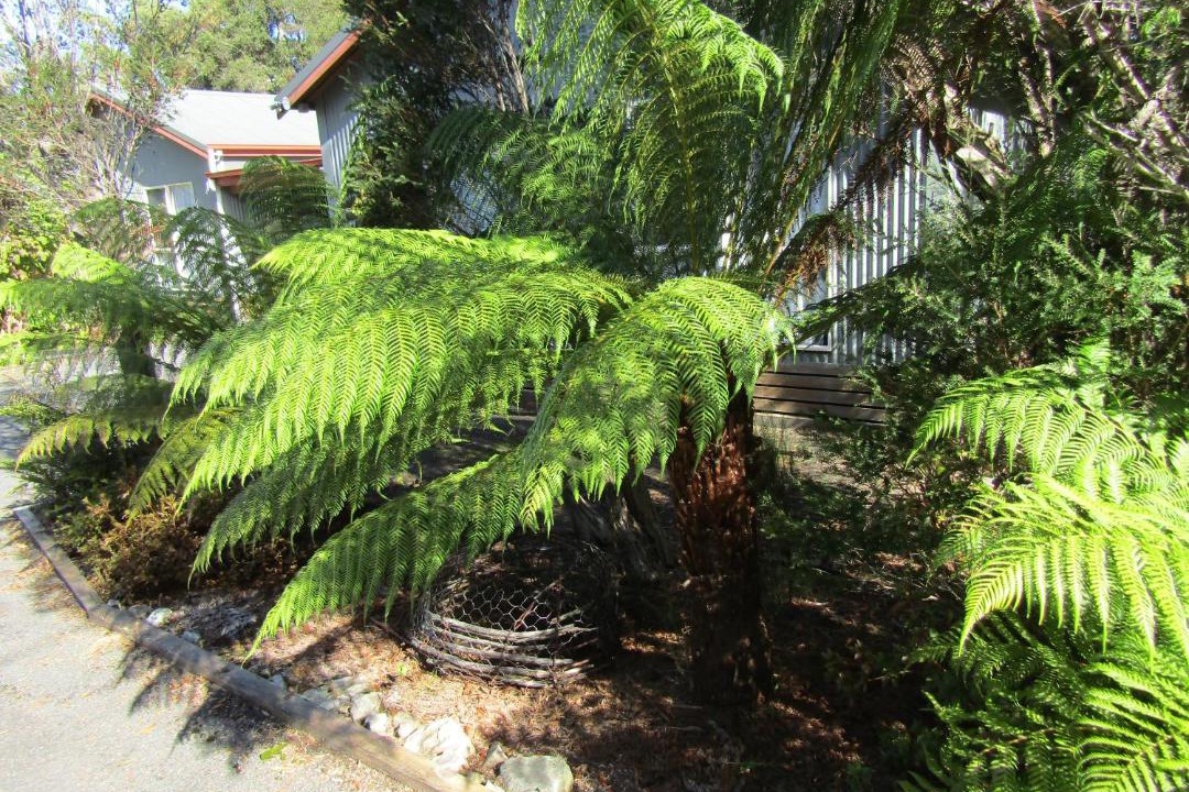 Photo of Others in Strahan