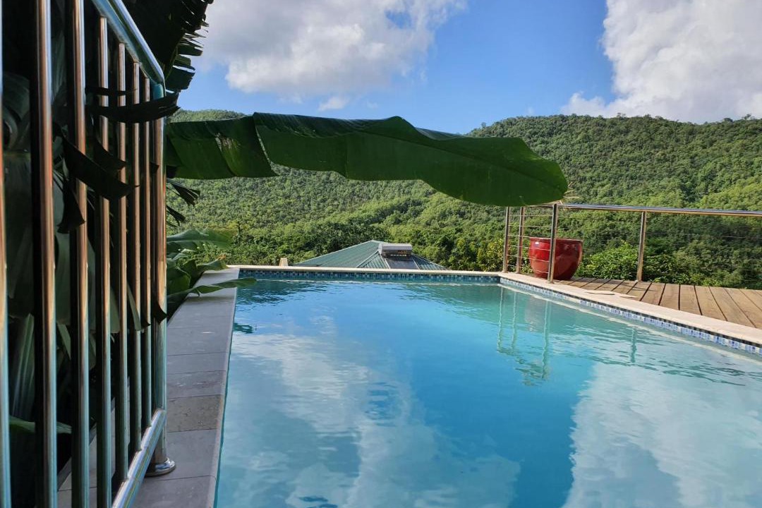 Photo of Others in Marigot Bay