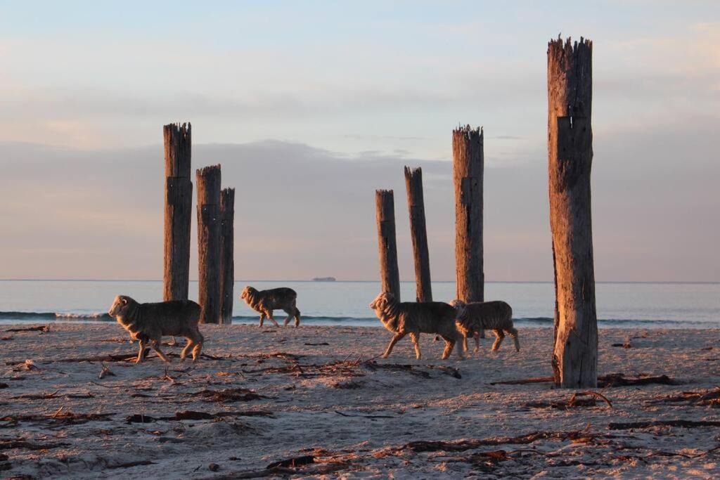 Photo of Others in Little Swanport