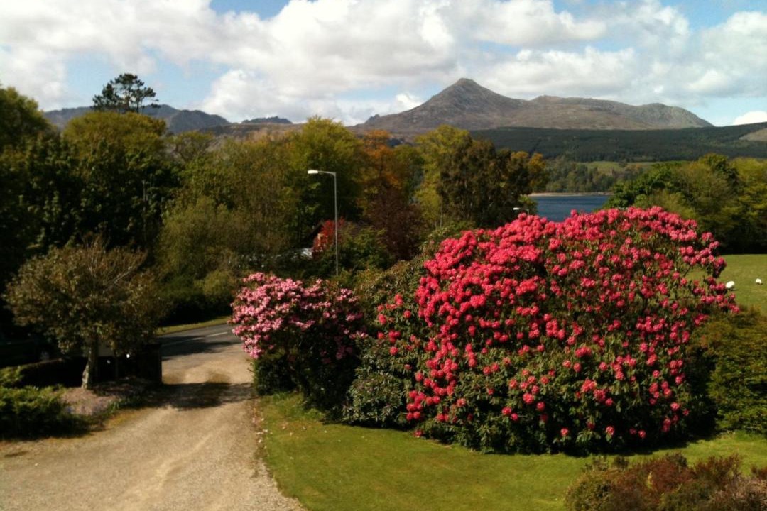 Photo of Others in Brodick