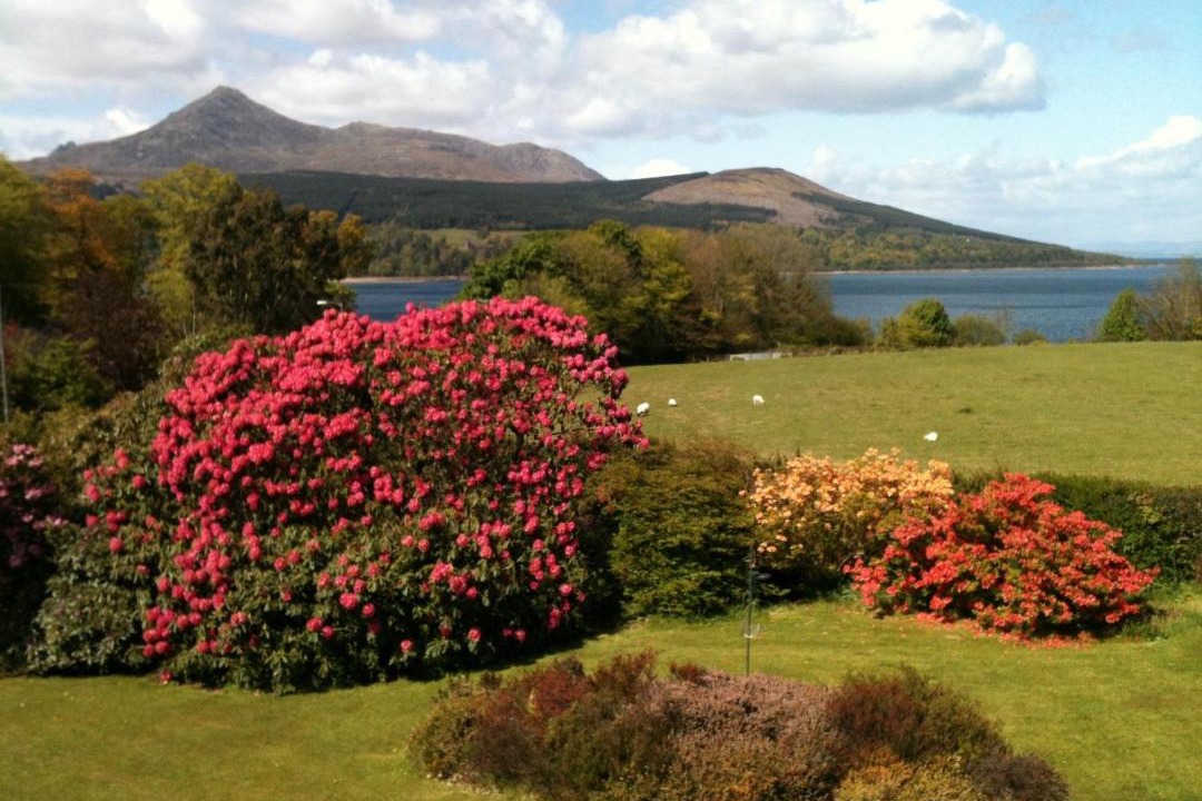 Photo of Others in Brodick