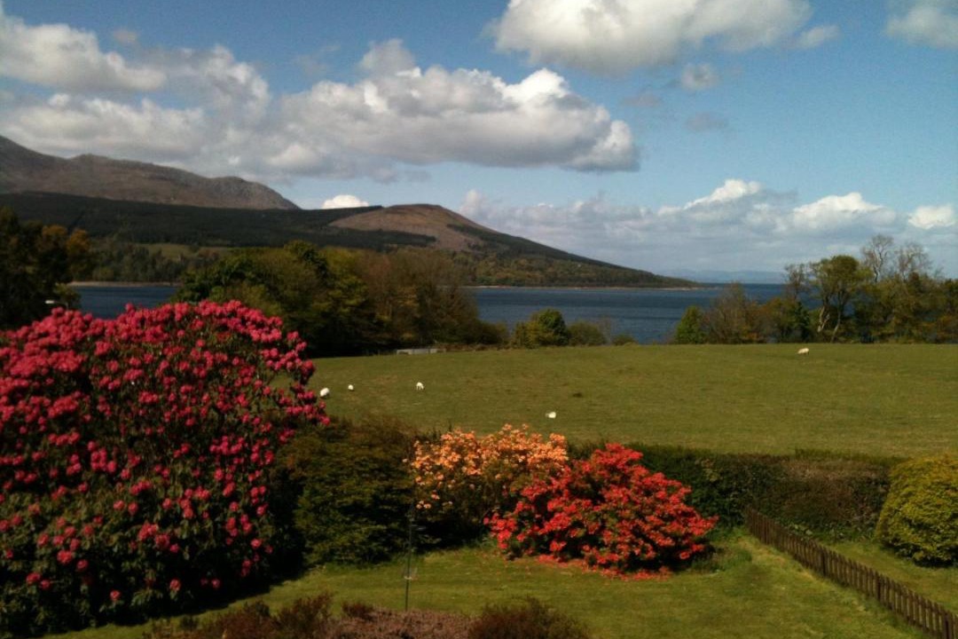 Photo of Others in Brodick