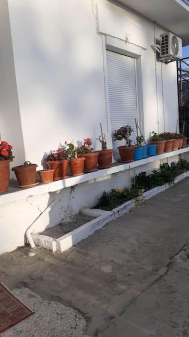 Photo of Others in Skala Prinou