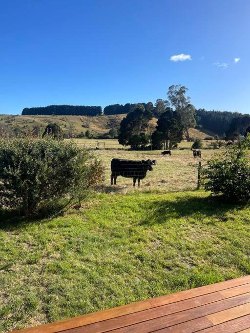 Photo of Others in Lilydale