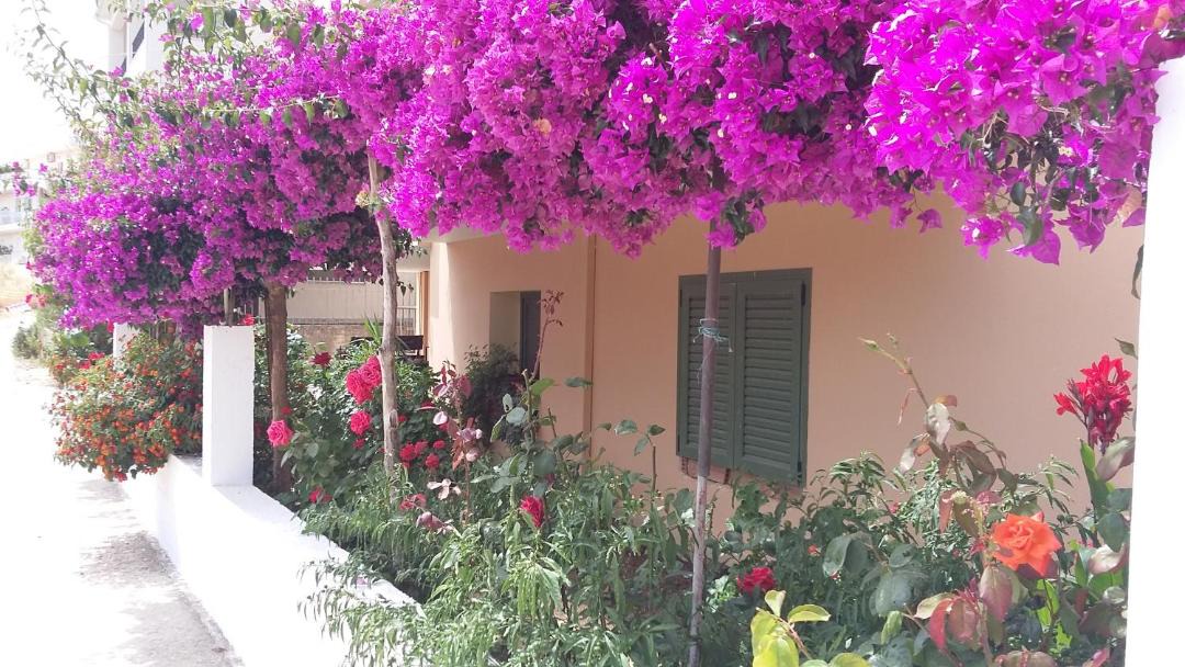 Photo of Others in Poros