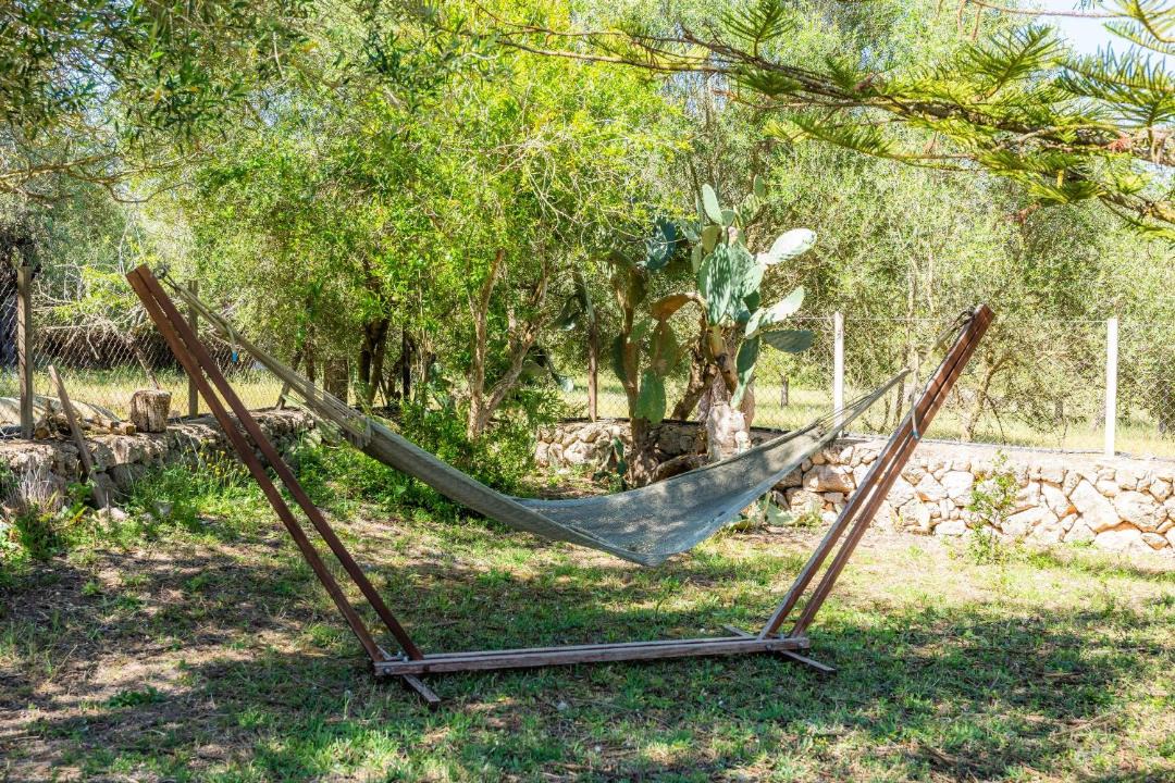 Photo of Outdoor in Sant Llorenc des Cardassar