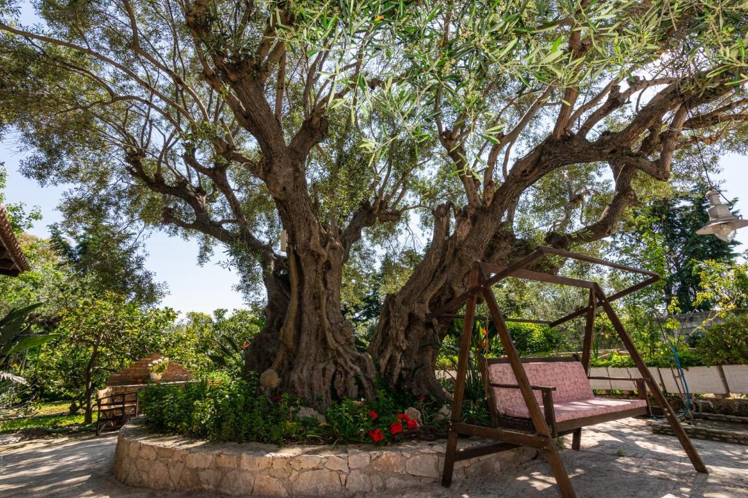 Photo of Others in Vasilikos