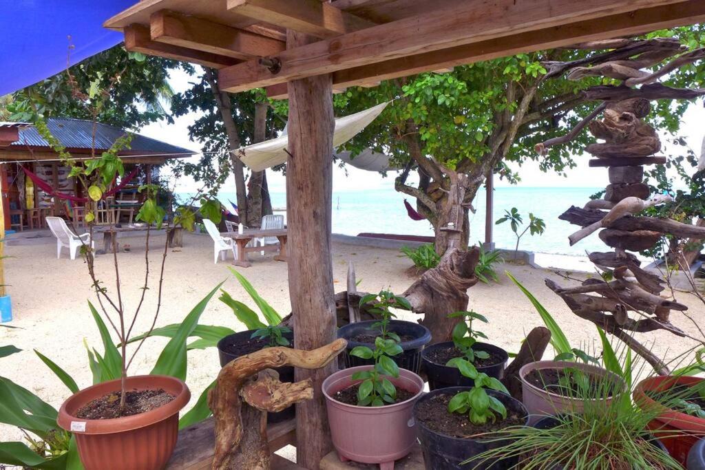 Photo of Others in Bintan