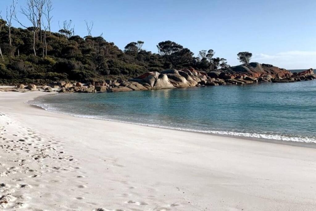 Photo of Others in Binalong Bay