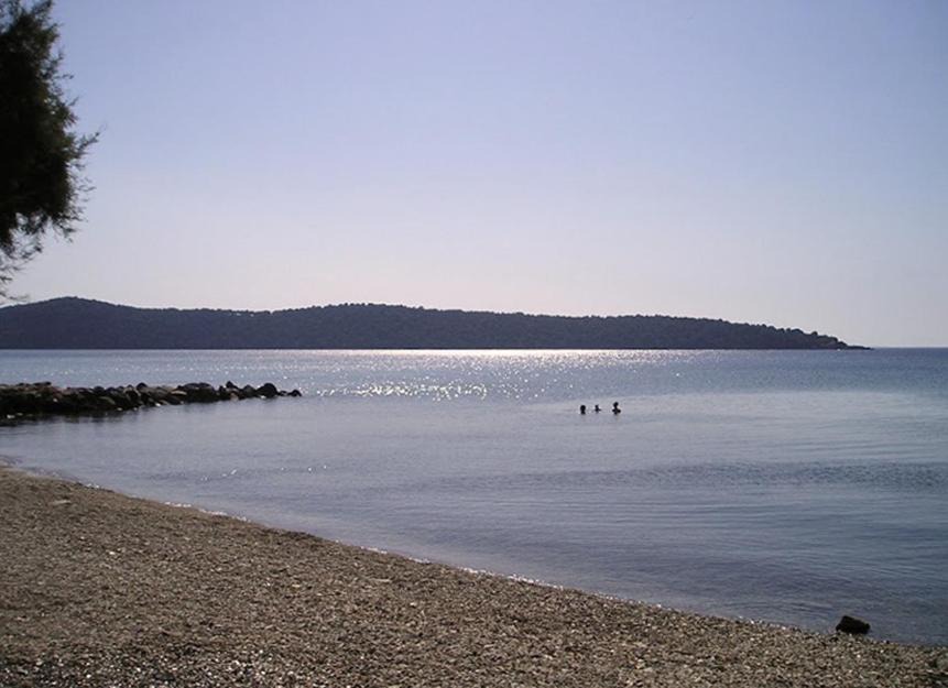 Photo of Others in Milina