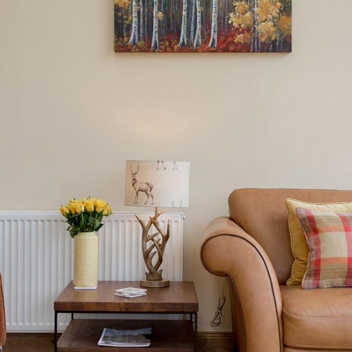 Photo of Livingroom in Maybole