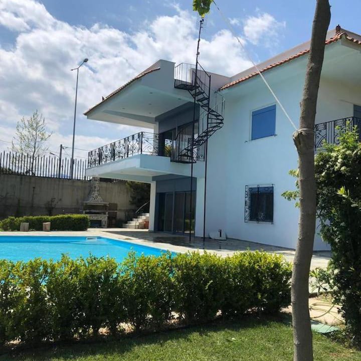 Photo of Others in Schinias