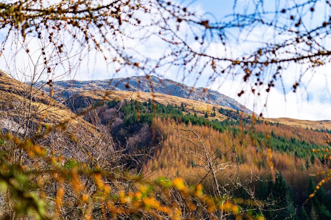 Photo of Others in Kentallen