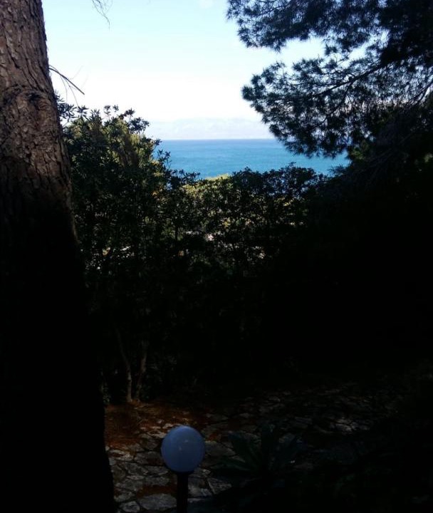 Photo of Others in Scopello