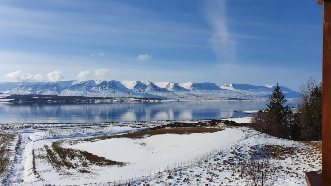 Photo of Others in Svalbarðseyri
