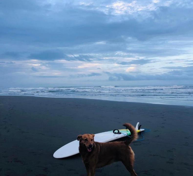 Photo of Others in Cahuita