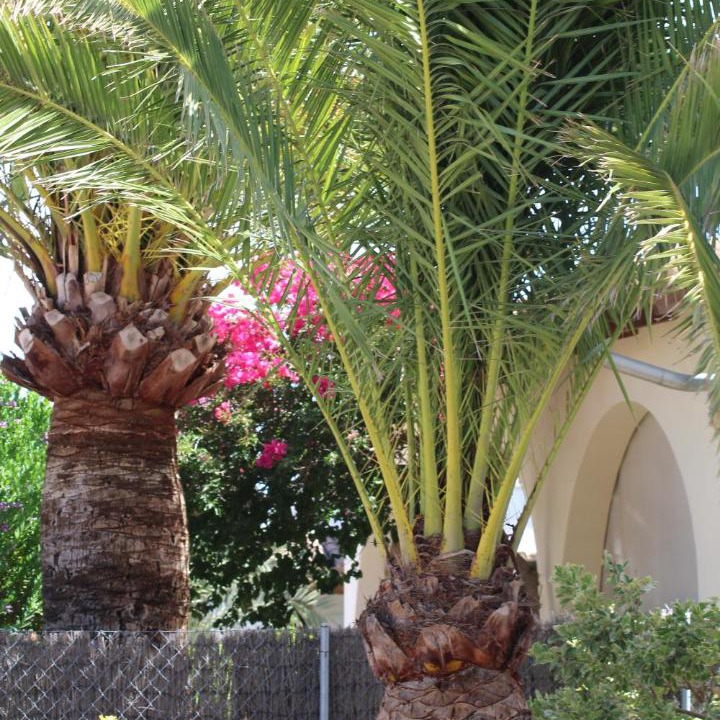 Photo of Others in Cala Santany