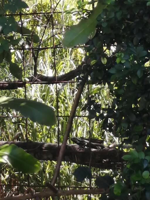 Photo of Outdoor in Escazu