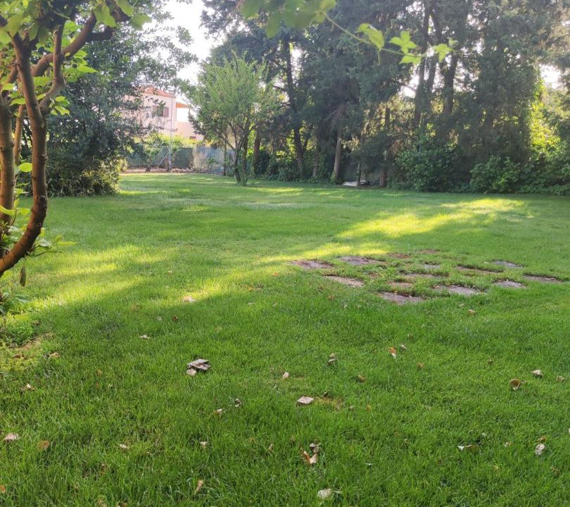 Photo of Others in Pyrgos Psilonerou