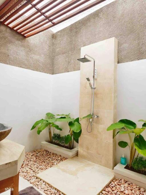 Photo of Bathroom in Senggigi