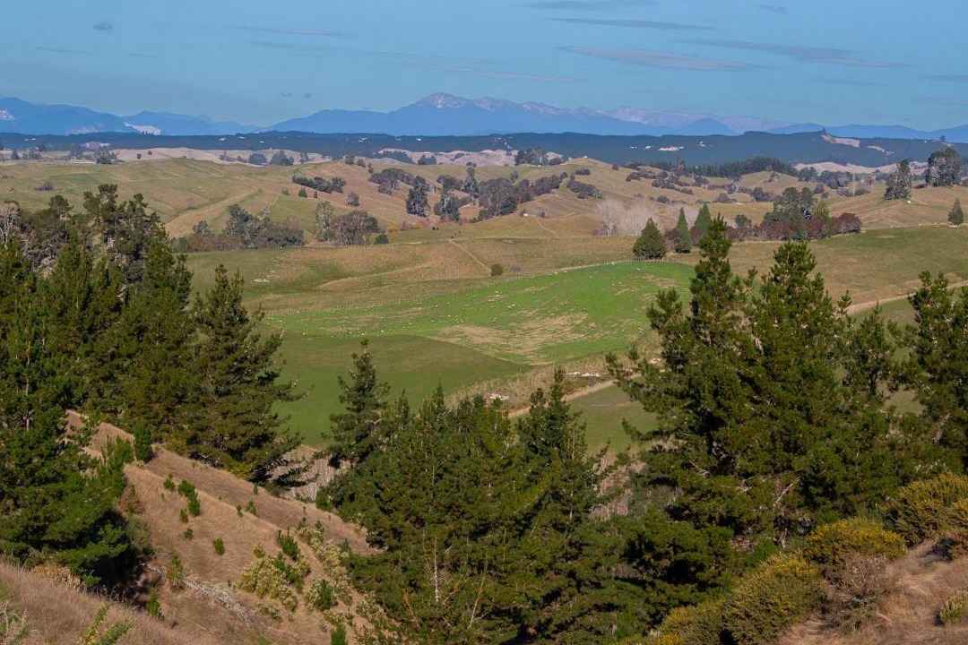Photo of Outdoor in Upper Moutere