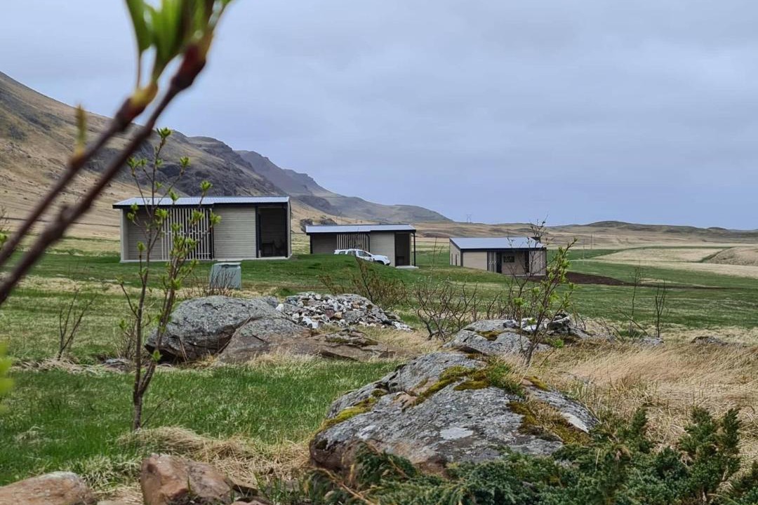 Photo of Others in Djupivogur