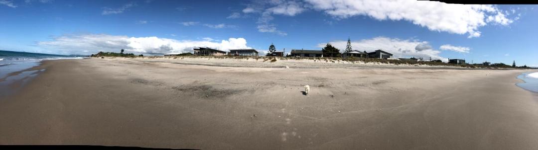 Photo of Outdoor in Pukehina