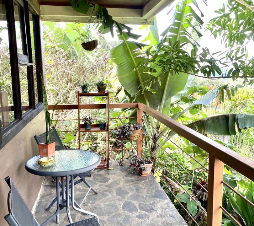 Photo of Patio Balcony in Paraiso