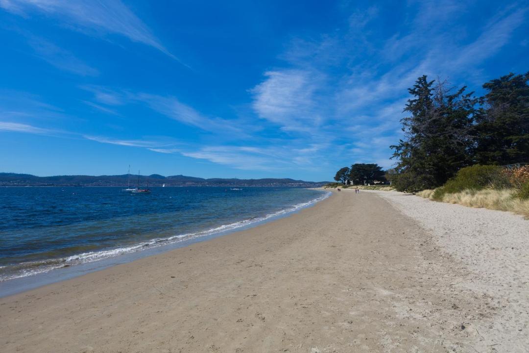 Photo of Others in Sandy Bay
