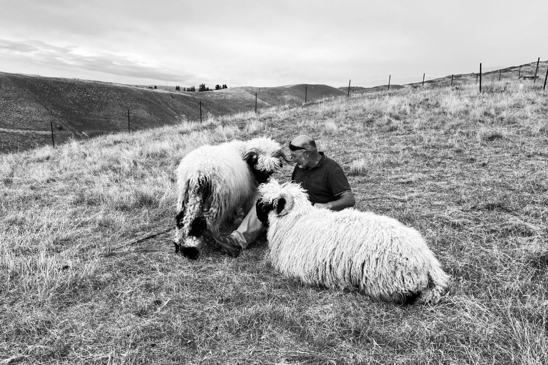 Photo of Others in Lowburn