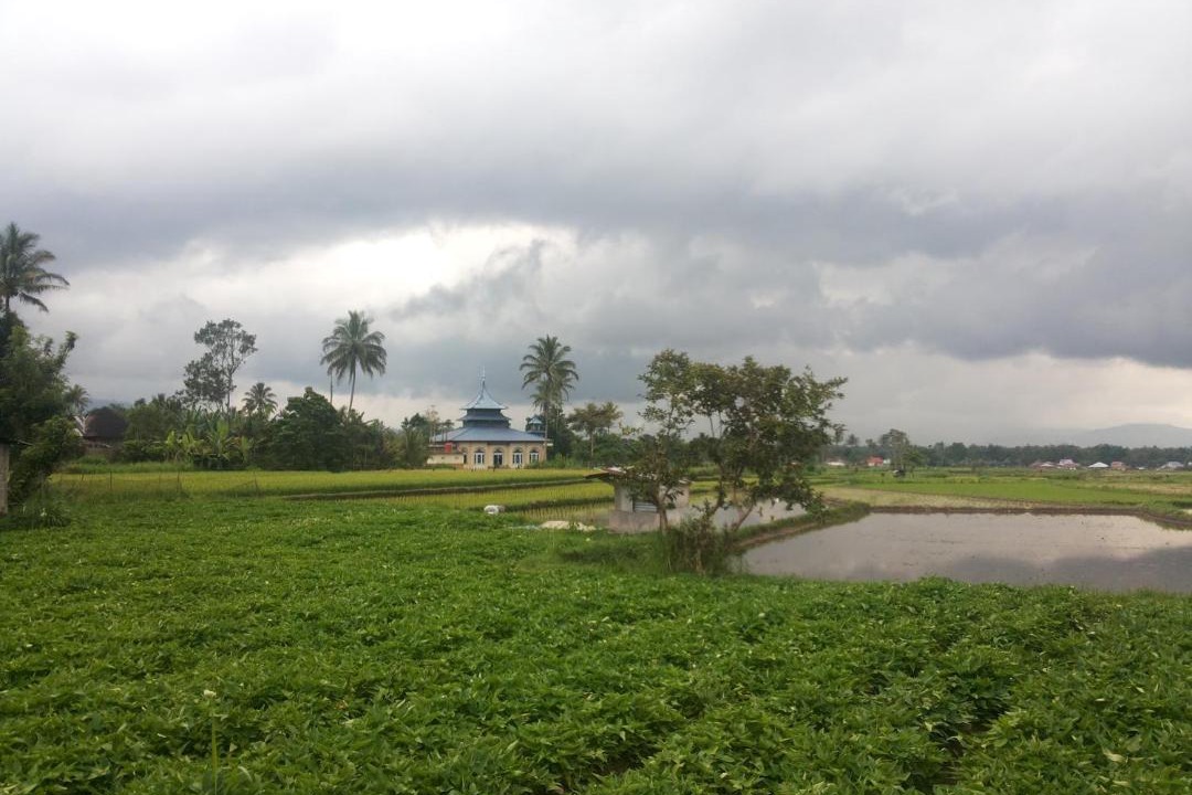 Photo of Others in Sumatra