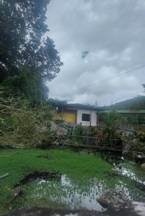 Photo of Others in Rivas