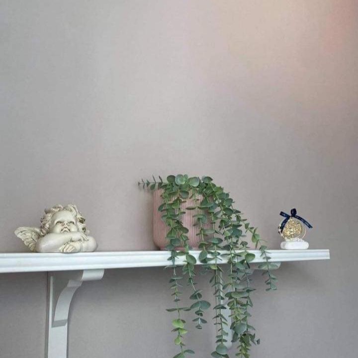 Photo of Others in Eretria