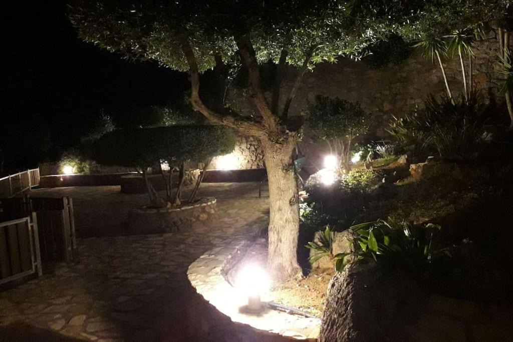 Photo of Others in Agios Nikolaos