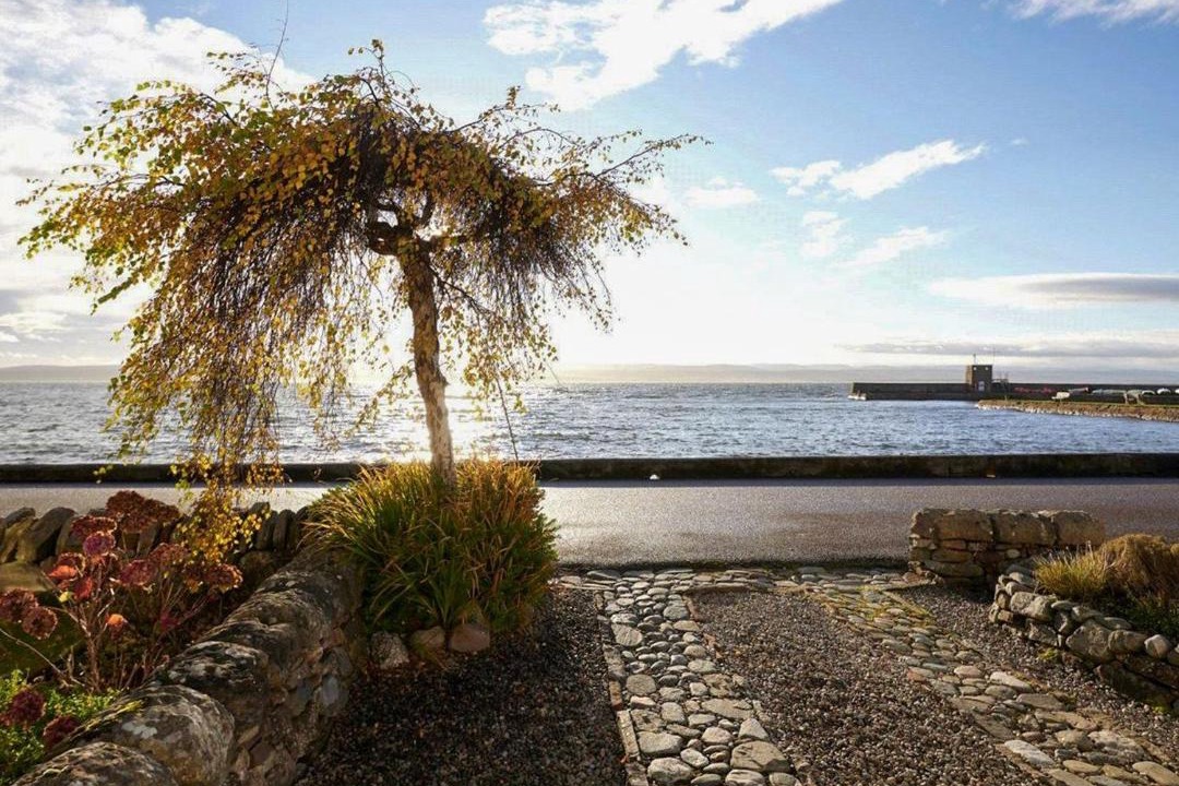 Photo of Others in Fortrose