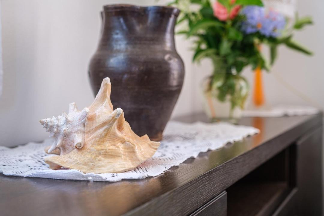 Photo of Others in Furnari