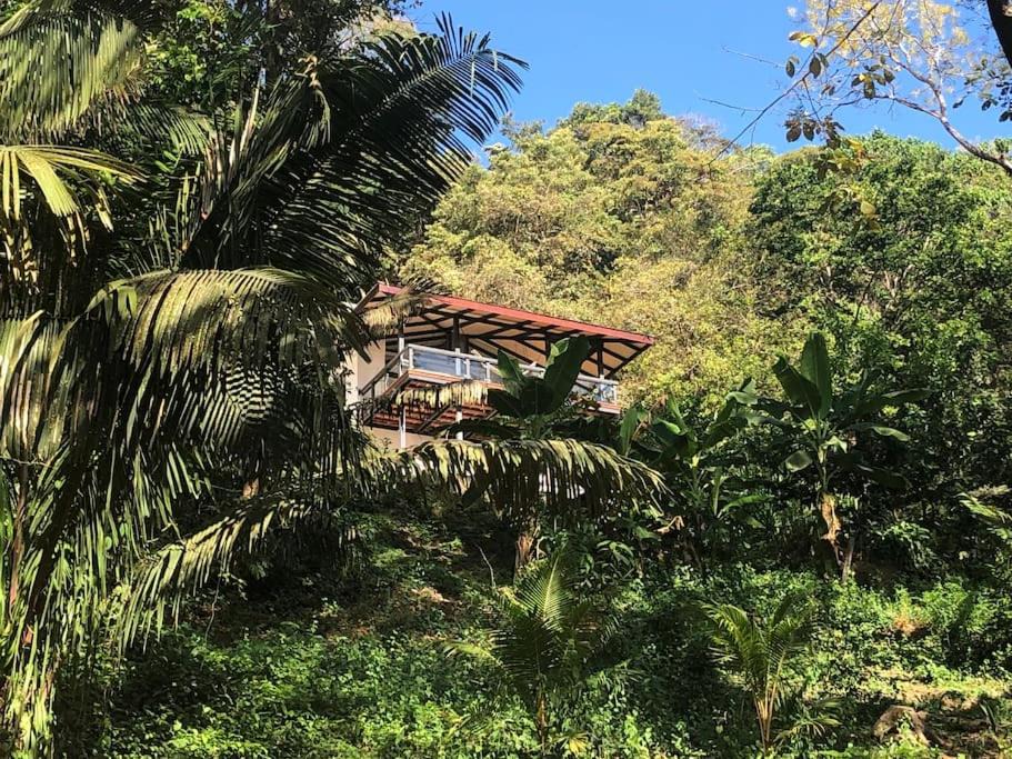 Photo of Outdoor in Cedros