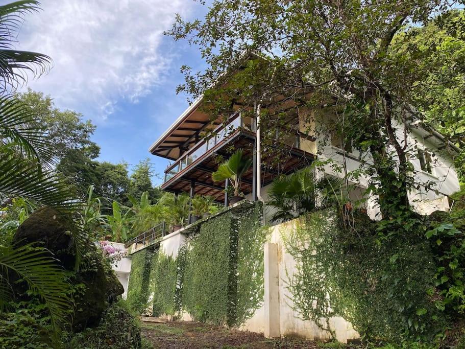 Photo of Others in Cedros