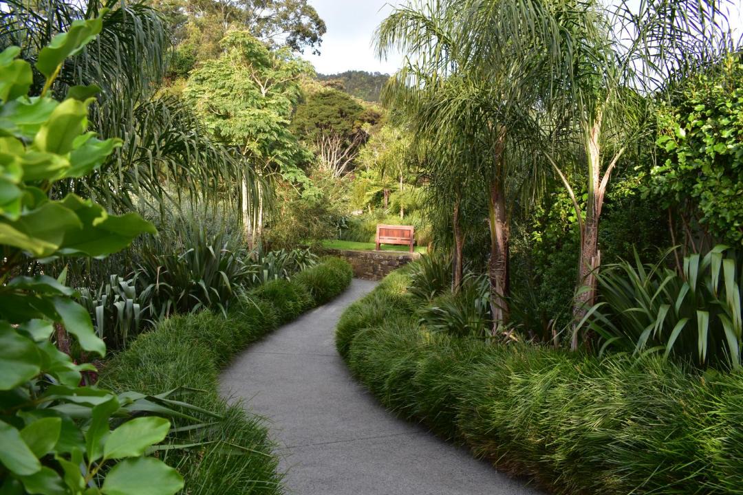 Photo of Outdoor in Coromandel