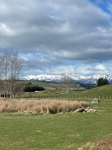 Photo of Others in Te Anau