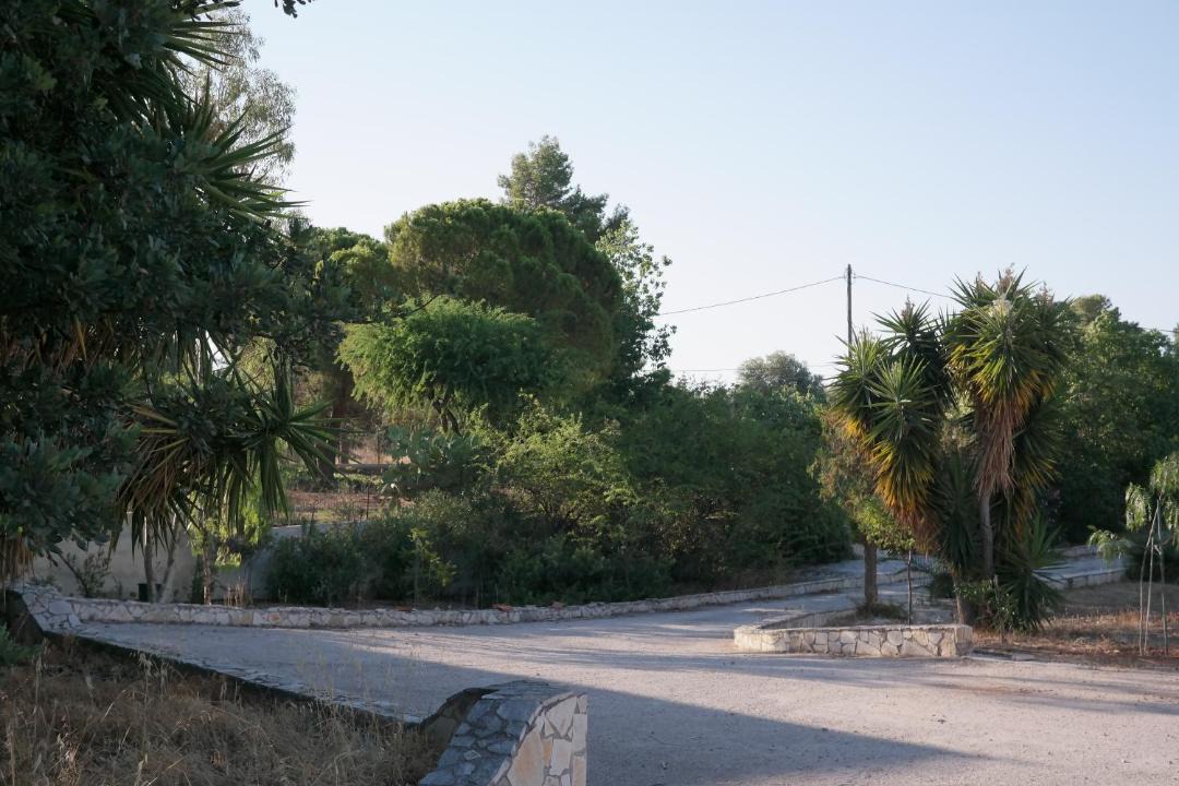 Photo of Others in Ermionida