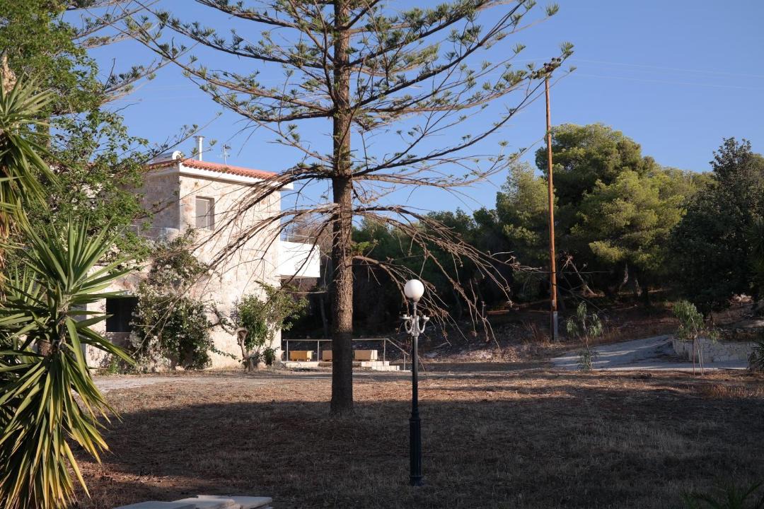 Photo of Others in Ermionida