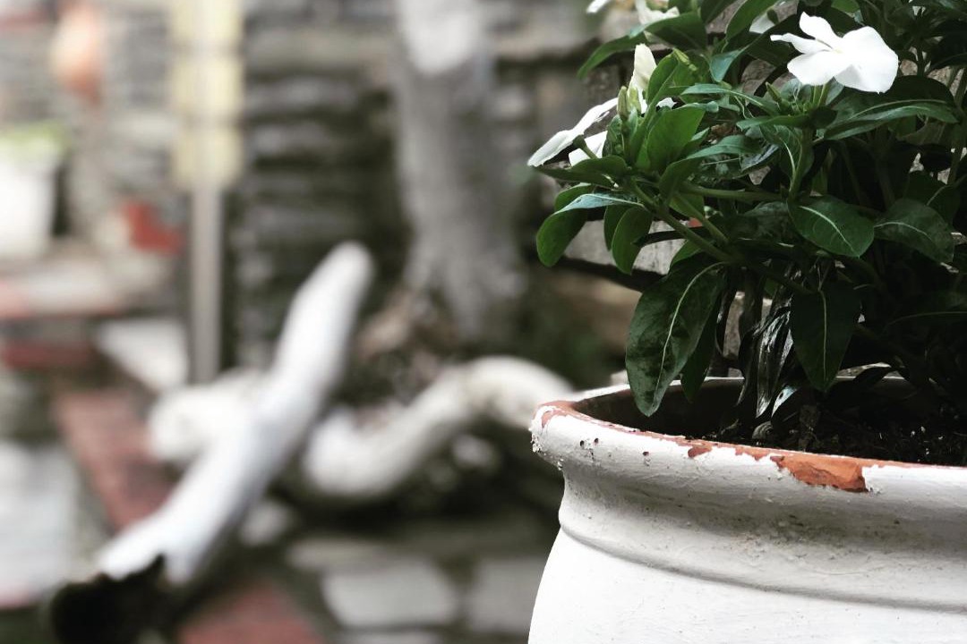 Photo of Others in Aristotelis